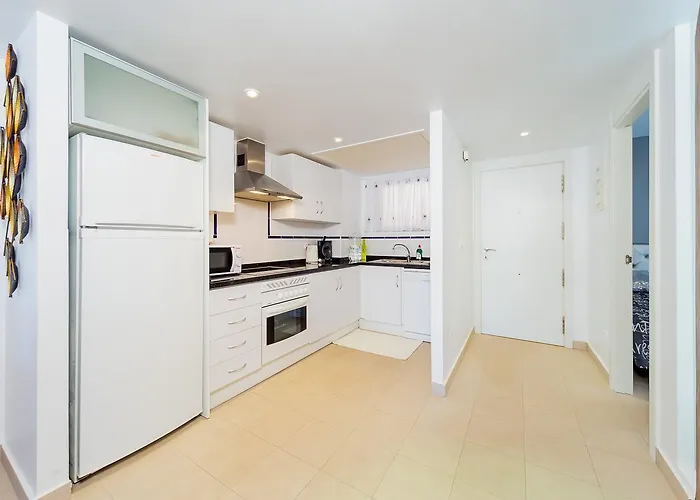 Alegria Id43 Torrevieja