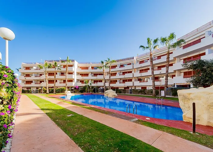 Alegria Id43 Torrevieja